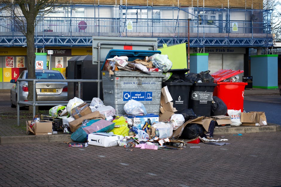 Southgate urgent same day rubbish collection what to know